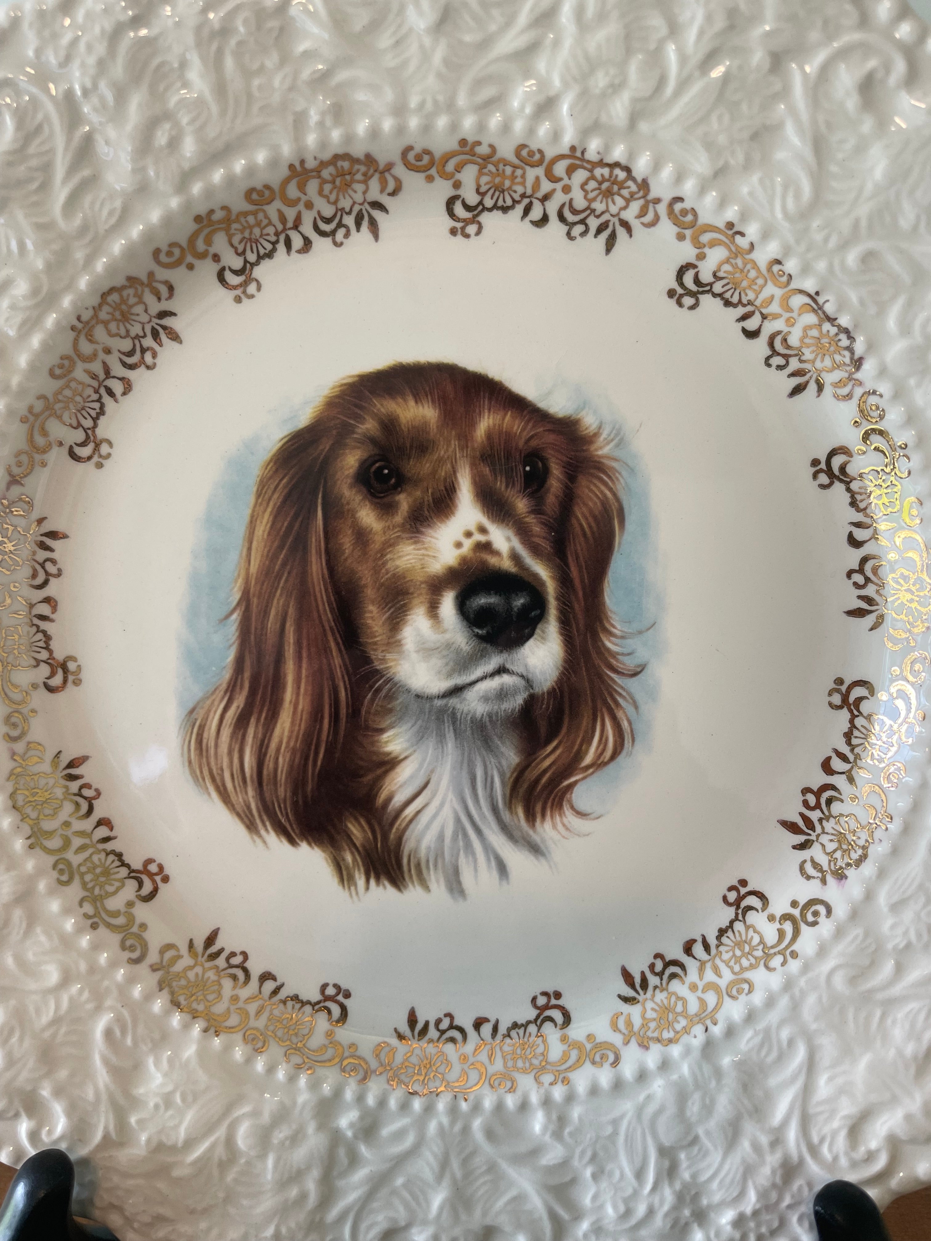 Vintage Lord Nelson Pottery “Springer Spaniel” plate
