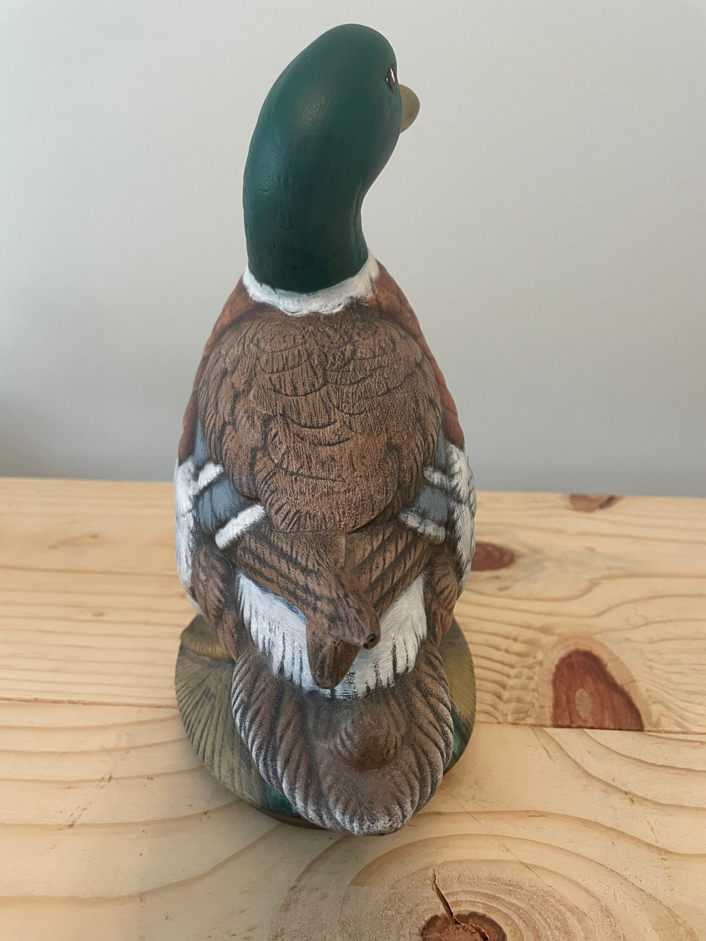 Adorable Mallard Duck