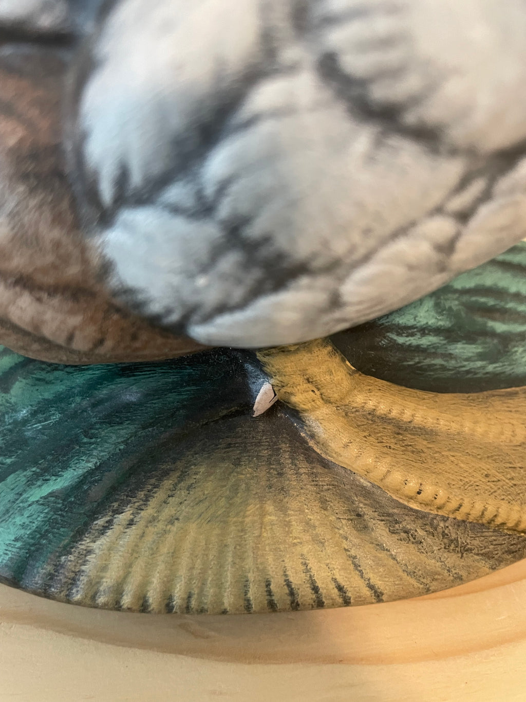 Adorable Mallard Duck