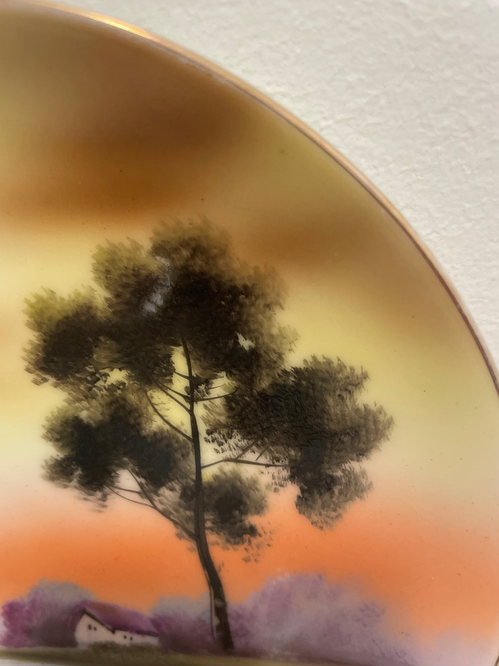 Vintage Noritake hand painted plates- Set of 4