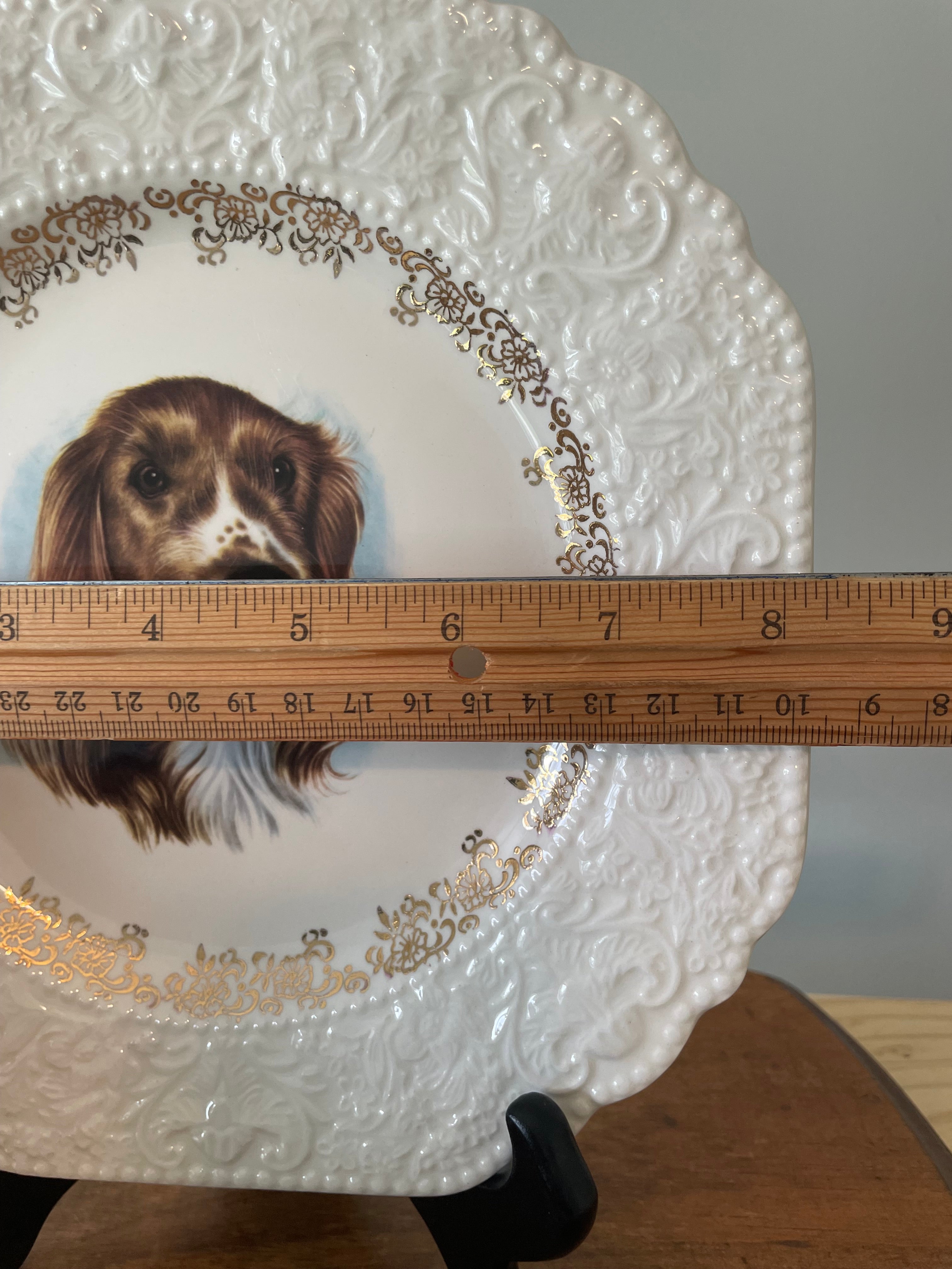 Vintage Lord Nelson Pottery “Springer Spaniel” plate