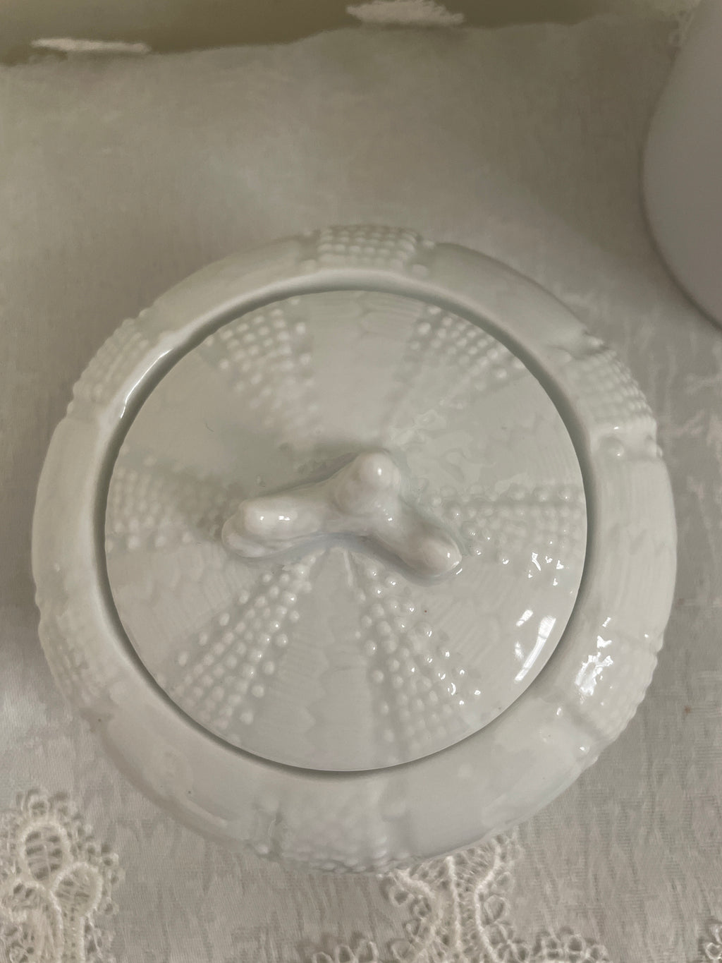 Paris Royal Porcelain Sea Urchin trinket holders