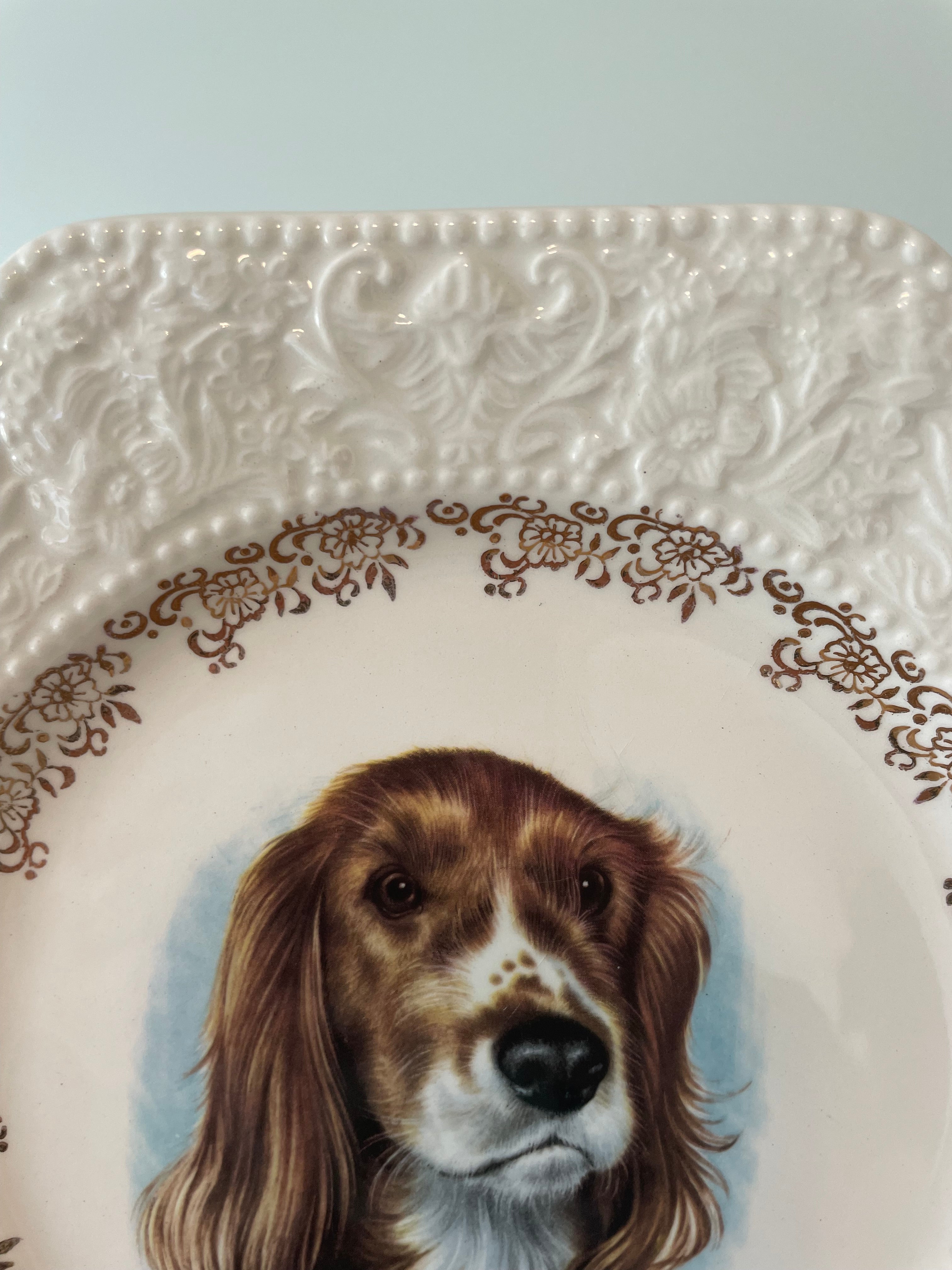 Vintage Lord Nelson Pottery “Springer Spaniel” plate