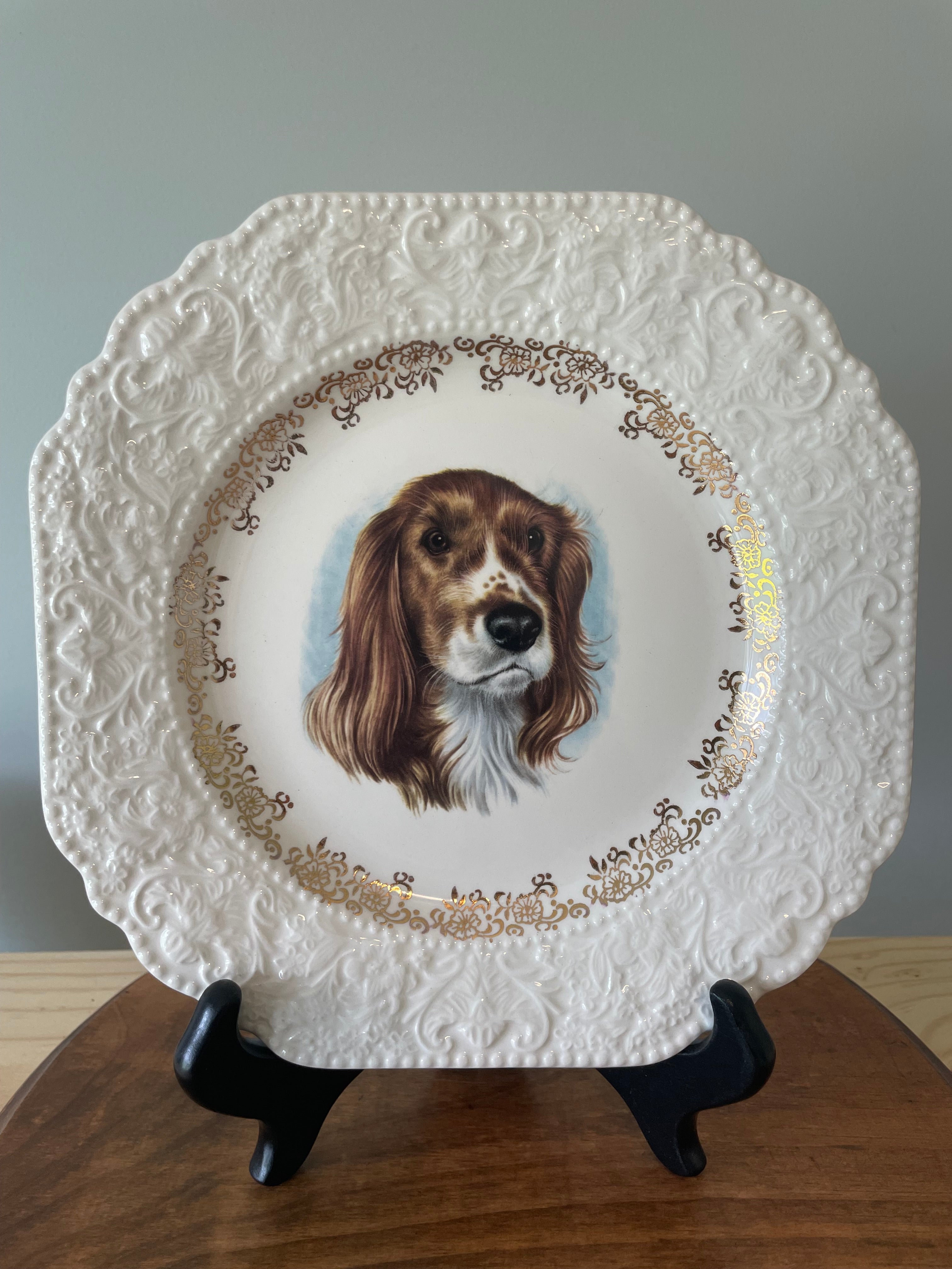 Vintage Lord Nelson Pottery “Springer Spaniel” plate
